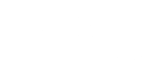 Evelyn-Paige Collections